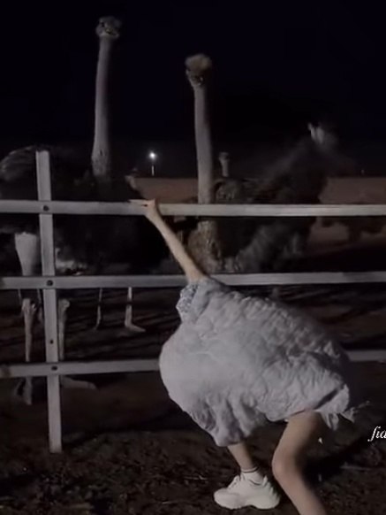 Вот что бывает когда нечем заняться - 2