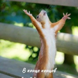 ���� Irinka, ������ - ��������� 10 ������ 2026