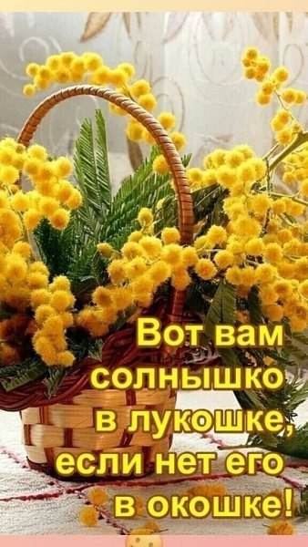  - 11  2025  12:26