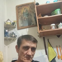  , 51, 