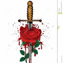 ���� �����, ������ �������� - ��������� 28 ������ 2026 � ������ ���� ����������