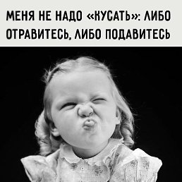 ���� �����, �����-���������, 40 ��� - ��������� 22 ���� 2025