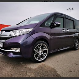 �������, ������, 55 ���