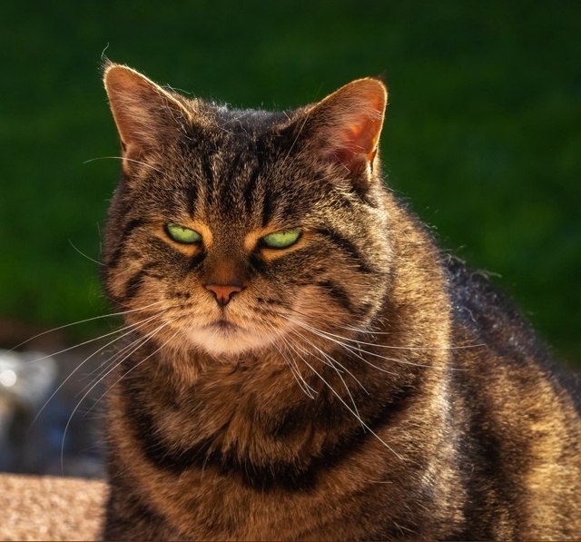     ?   .   -   ?!   -  ...