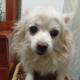 ���� ����, �����, 55 ��� - ��������� 28 ������� 2026