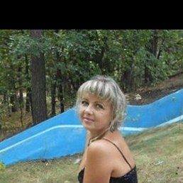 ��������, ������-��-����, 41 ���