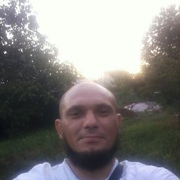 , 37, 