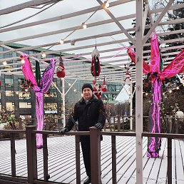 ������, ����������, 52 ����