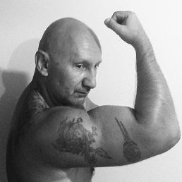 ����������, ������, 53 ����