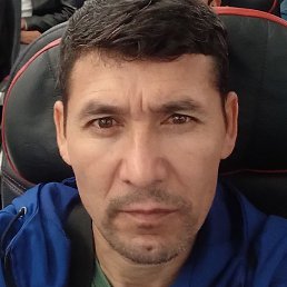 �������� �������, �����, 46 ���