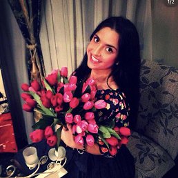 �����, 42 ����, ��������