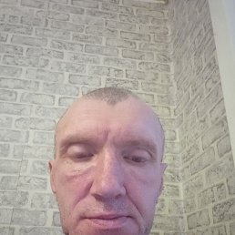 , 53 , -