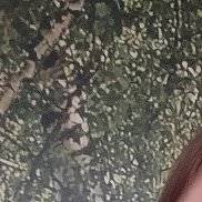 �����, 45 ���, �����