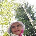  ,  -  28  2025    -    ,      .