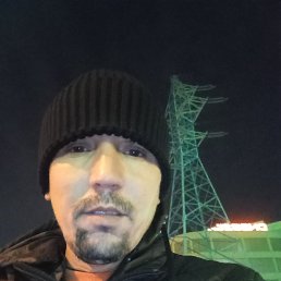 ����, 41 ���, ������