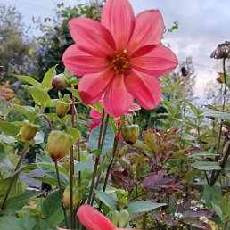 ���� �������, ��������, 61 ��� - ��������� 28 �������� 2025