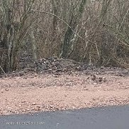 ����, 37 ���, �����-���������