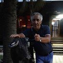 ���� ���������, ������, 67 ��� - ��������� 31 ������� 2023 � ������ ���� ����������