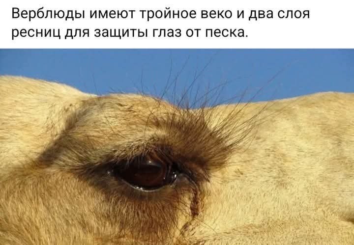 :)
