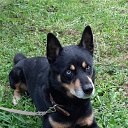 ���� �������, ������, 57 ��� - ��������� 4 ������� 2023 � ������ ���� ����������