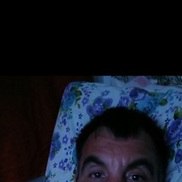 , 41, 