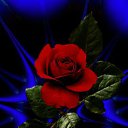 ���� ���������, �����, 60 ��� - ��������� 16 ������� 2024 � ������ ������