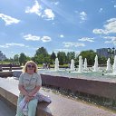 ���� ����, ������, 66 ��� - ��������� 26 ��� 2024 � ������ ���� ����������