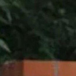 �����, ���, 53 ����