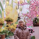 ���� �����, ���������, 52 ���� - ��������� 12 ���� 2025 � ������ ���� ����������