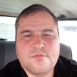 �����, �������, 44 ����