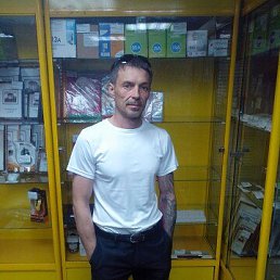 , 54 , 