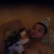 ������, 37 ���, �������