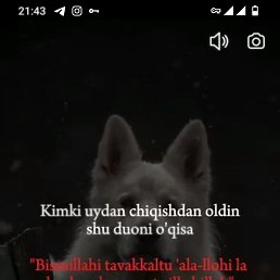 ���� ��� ����, ������, 33 ���� - ��������� 21 ������ 2024