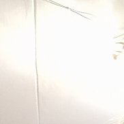 ��������, 55 ���, ������