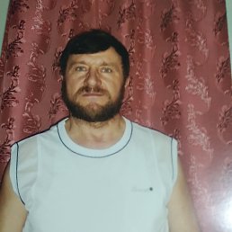 , 62 , 