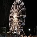 ���� ��� ����-81, ��������, 48 ��� - ��������� 21 ������ 2025 � ������ ���� ����������