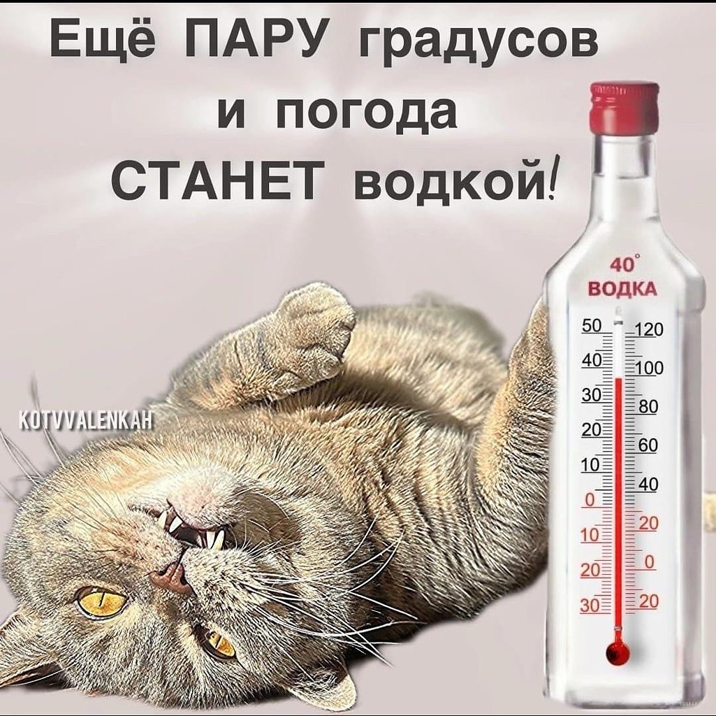  - 5  2024  18:23