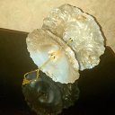 ���� ����, �������, 41 ��� - ��������� 9 ������� 2024 � ������ ������ ��������