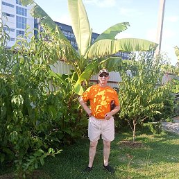 �������, �������, 53 ����