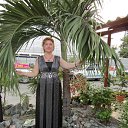 ���� �����, ������������, 66 ��� - ��������� 22 ������ 2025