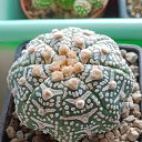 ���� �������, �����, 62 ���� - ��������� 13 ������ 2024 � ������ ���� �����