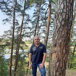 ���, ������, 49 ���