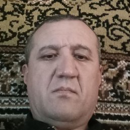 ������, �����, 49 ���