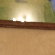 ������, 49 ���, ���������