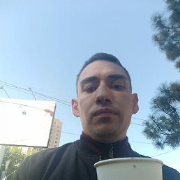 , 37, 