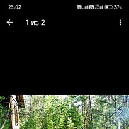 �����, 46 ���, ���������