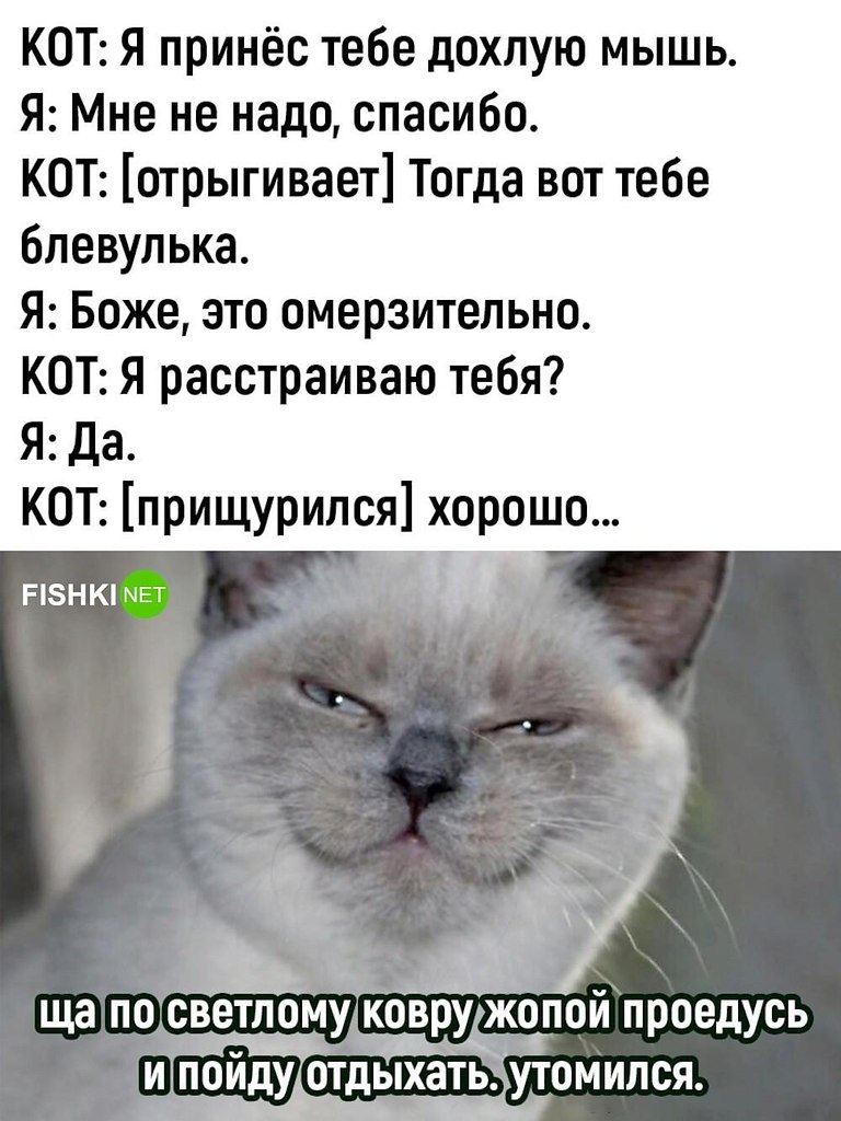   - 6  2024  19:06