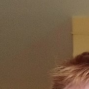 ����������, 46 ���, ������