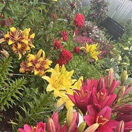 ���� ���������, �����, 44 ���� - ��������� 4 ������ 2026