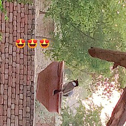 King, �����������, 23 ����